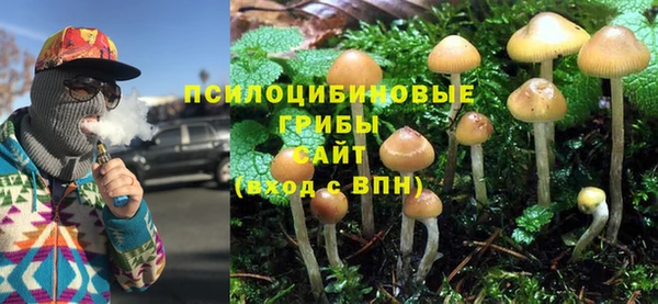 прущие крисы Инта